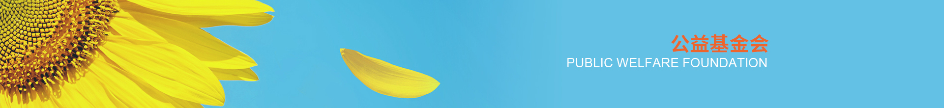 公益基金会